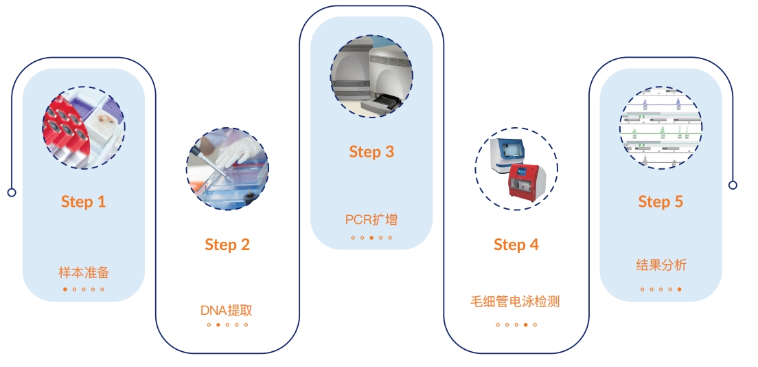 MSI检测流程.png