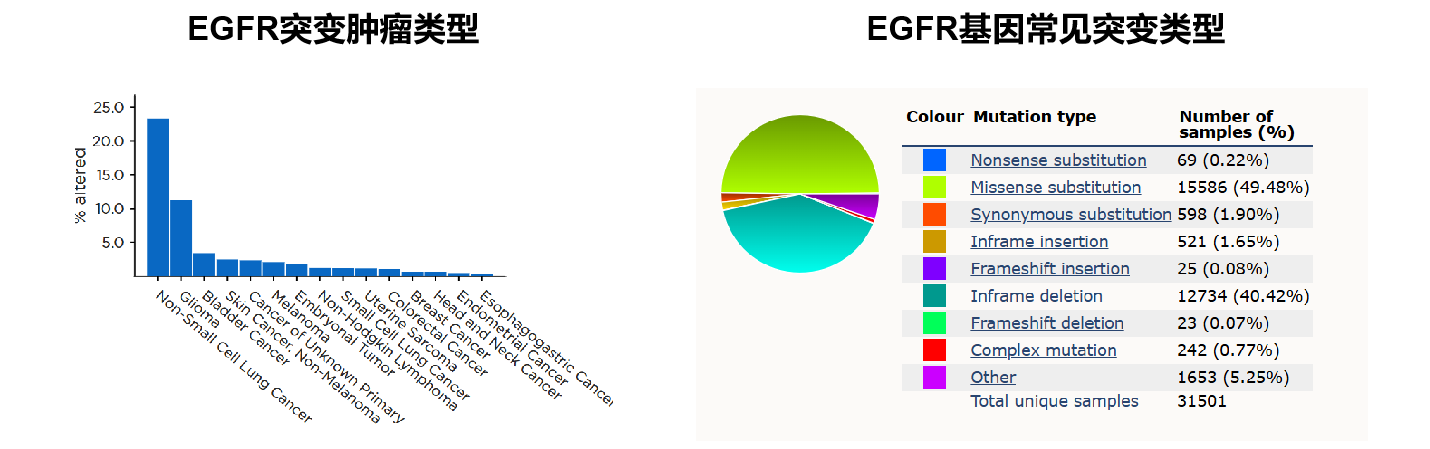 EGFR基因突变.png