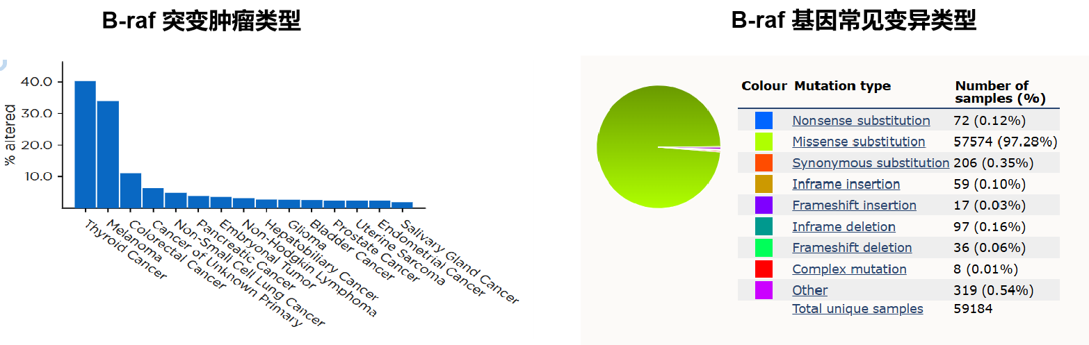BRAF基因临床意义.png
